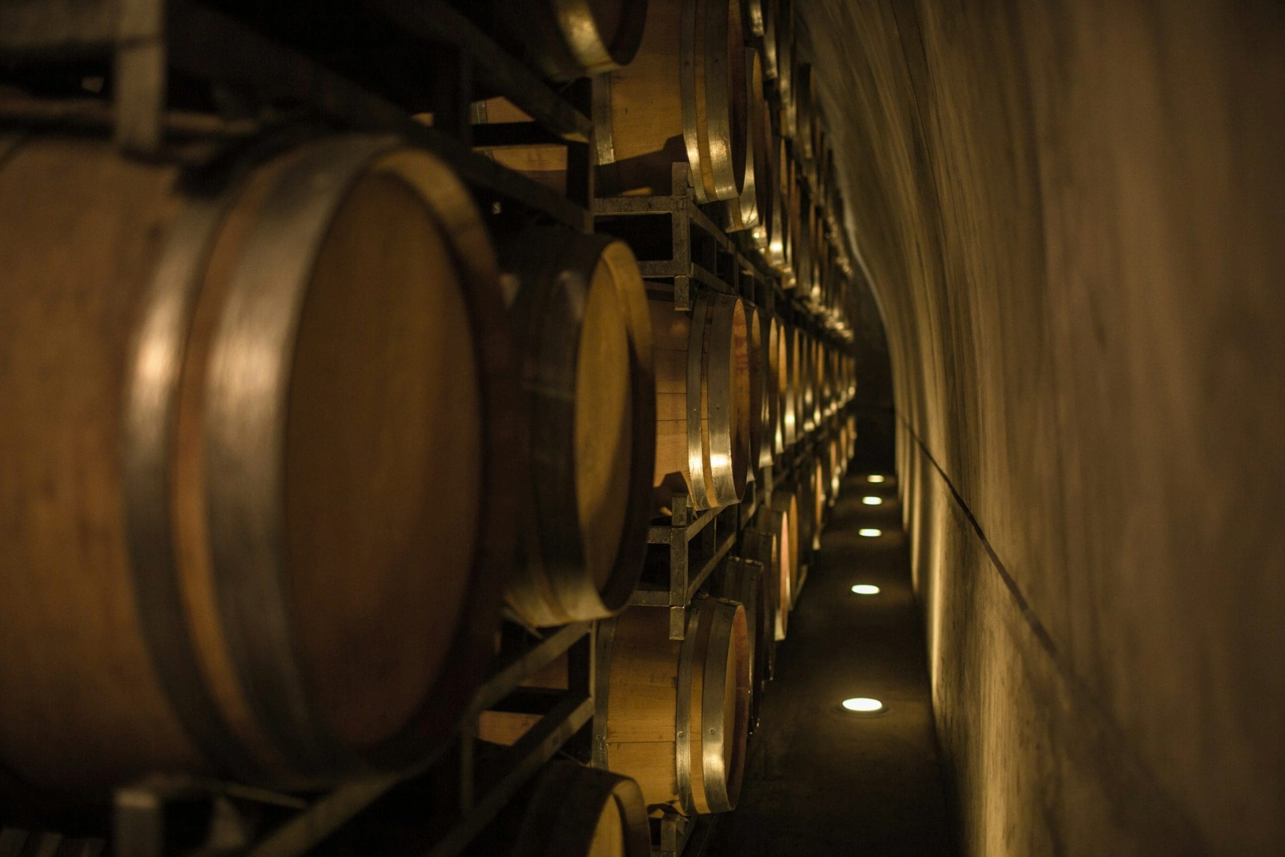 wine tasting barrels buenos aires